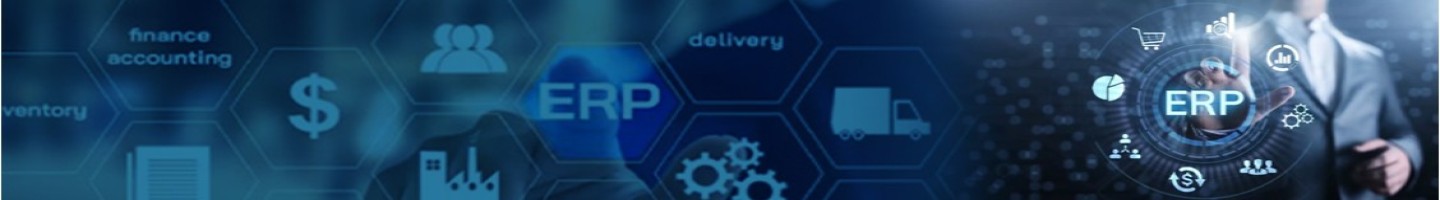 ERP Consulting Group