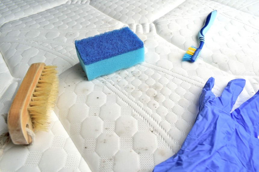 how to remove mold from fabric correctly