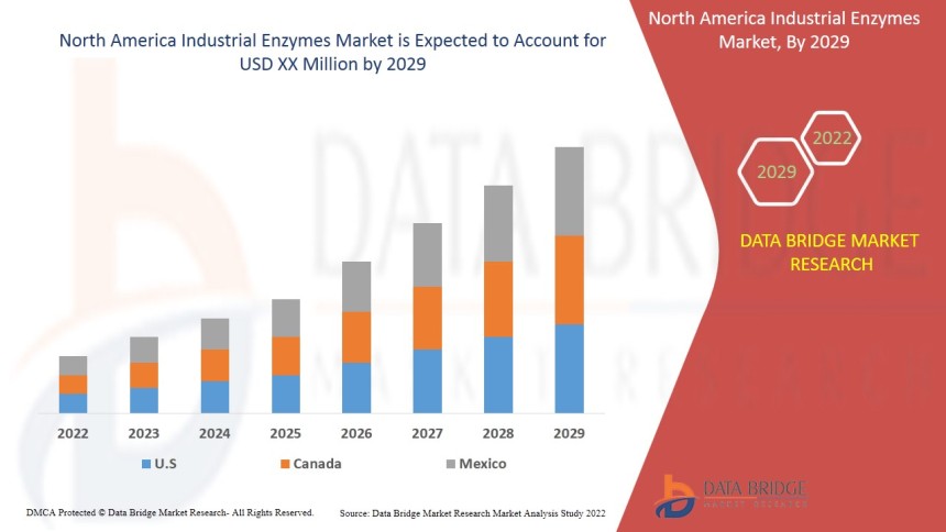 North America Industrial Enzymes Market