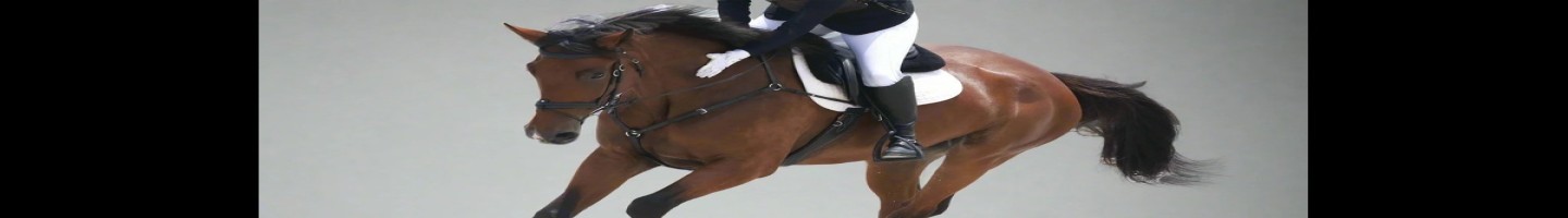 Canter Cart