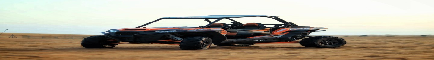 Dune buggy rental desert