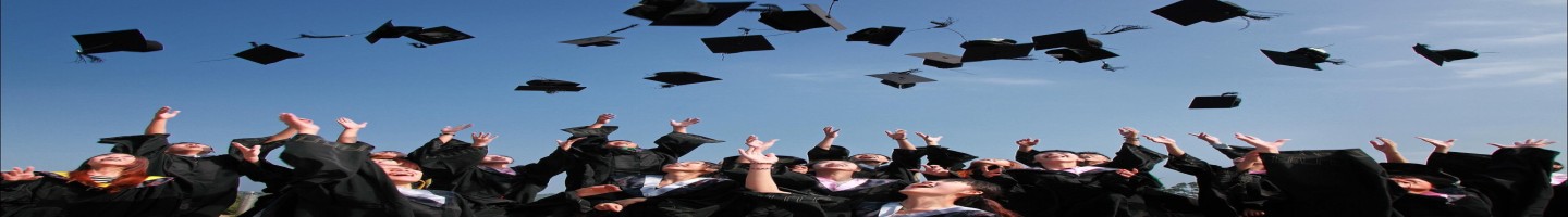 Princeton Review