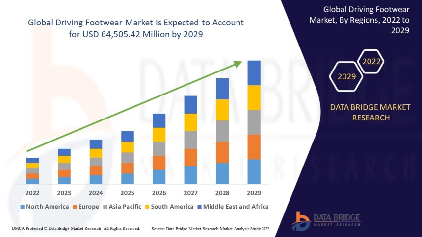 Driving Footwear Market