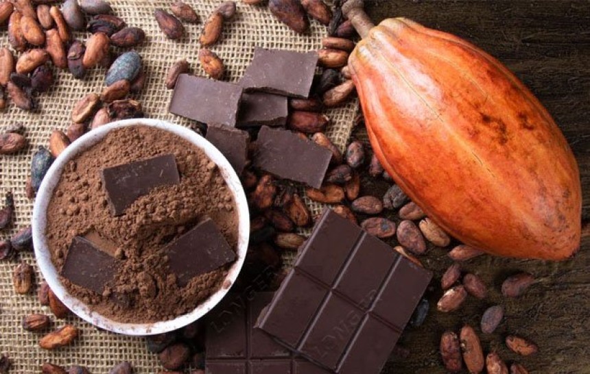 Cocoa Processing Plant