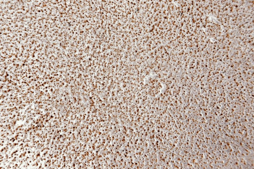 Bouclé Upholstery Fabric
