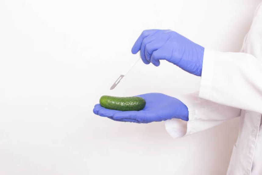 penile enlargement in Dubai
