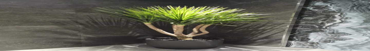 Royal Plants