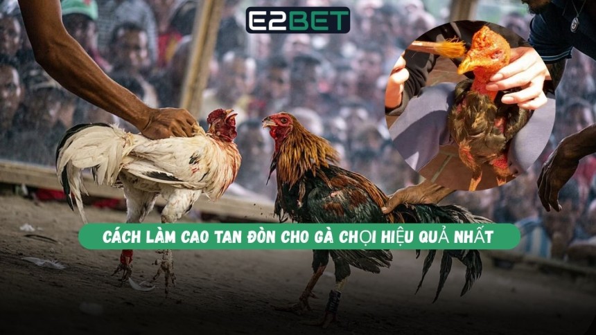 https://www.ncscooper.com/cach-lam-cao-tan-don-cho-ga-choi/