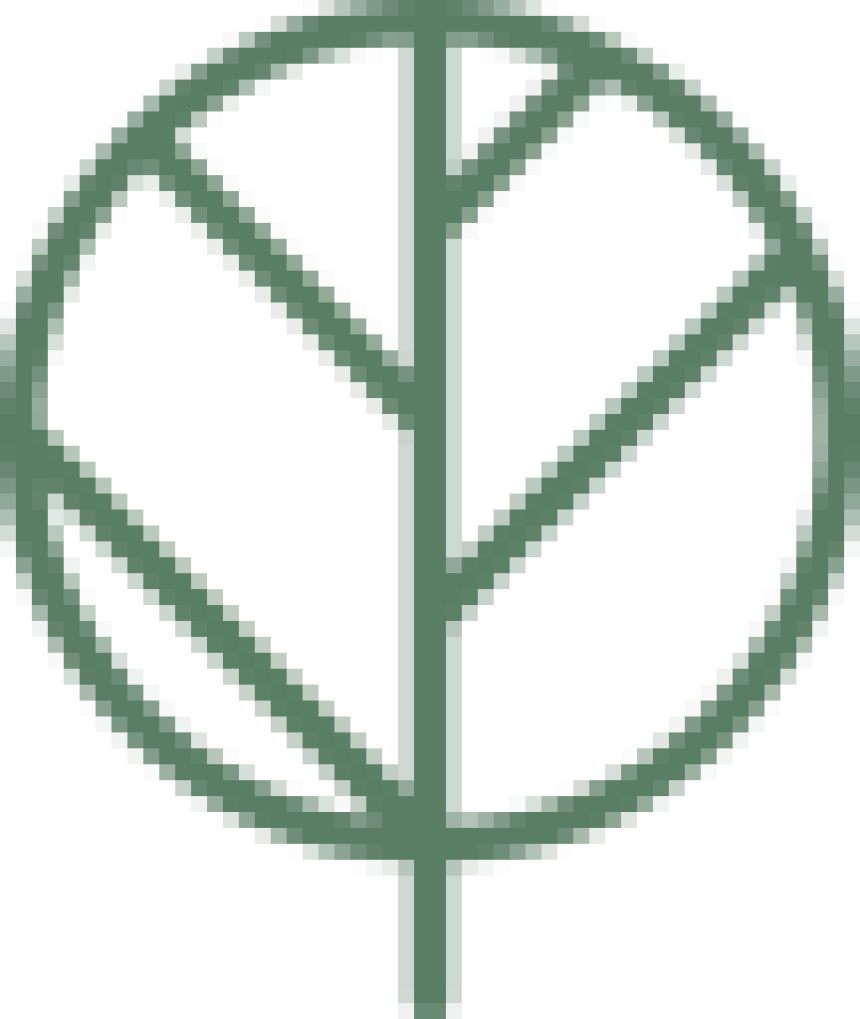 Dr. Anjana Logo