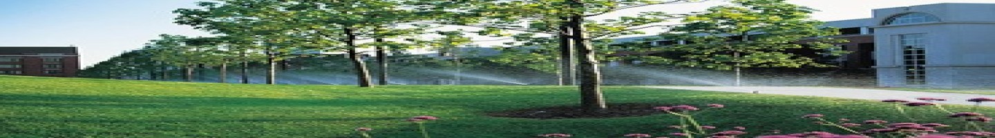 Double Eagle Sprinkler