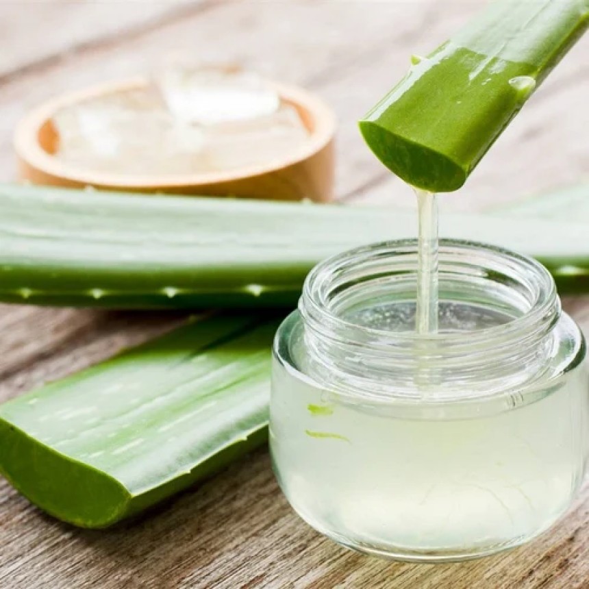 Aloe Vera Gel Manufacturing Plant