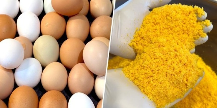 Whole Egg Powder