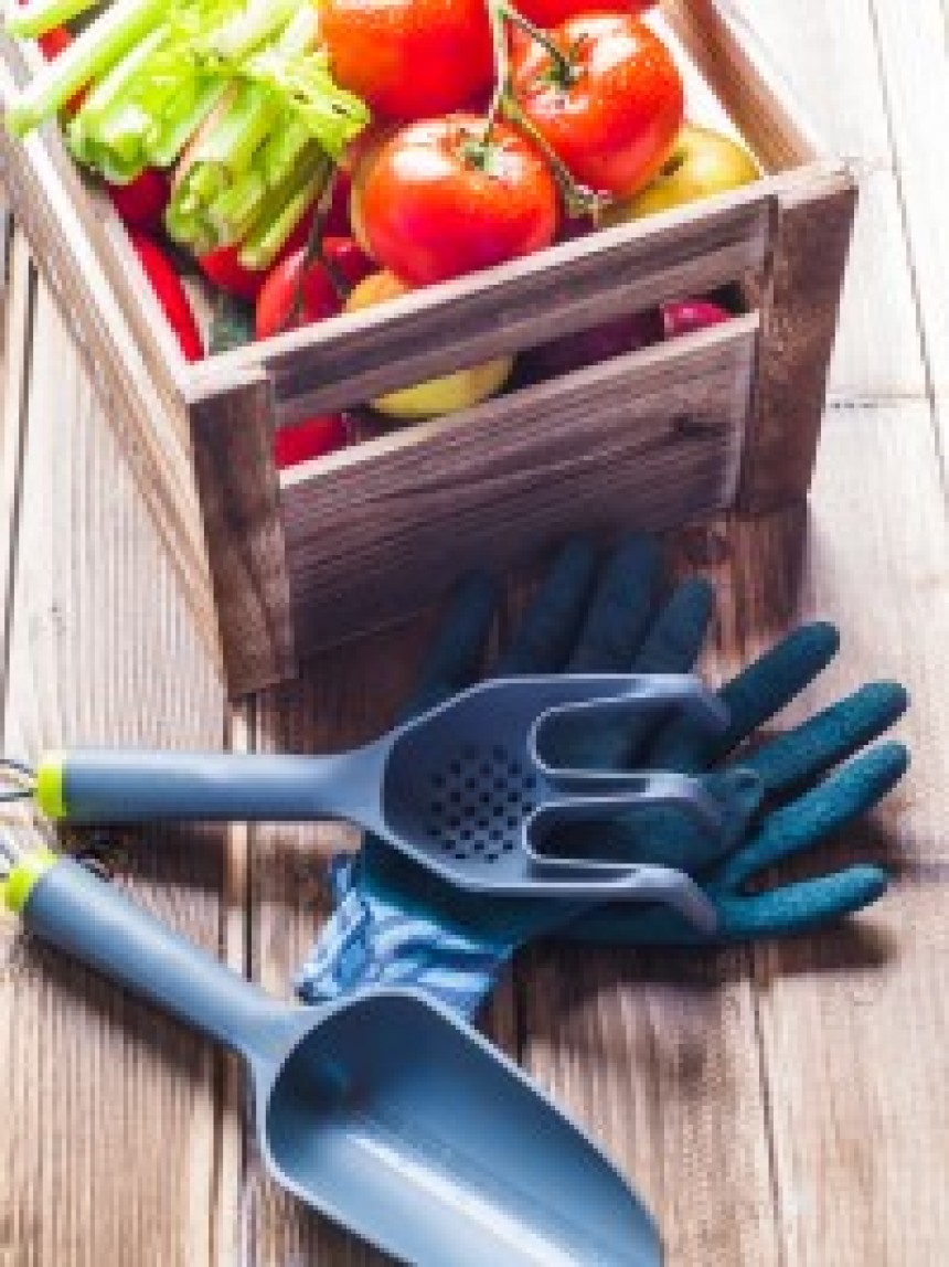https://amsterdamdepot.com/department/lawn-and-garden-farm-9940532