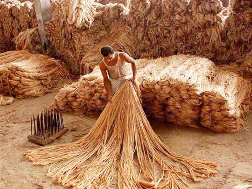 Jute Processing Plant