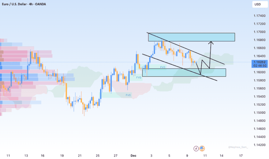 Forex tarder
