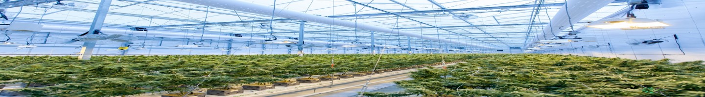 Zen Seeds Bank