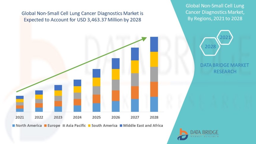 Non-Small Cell Lung Cancer Diagnostics Market