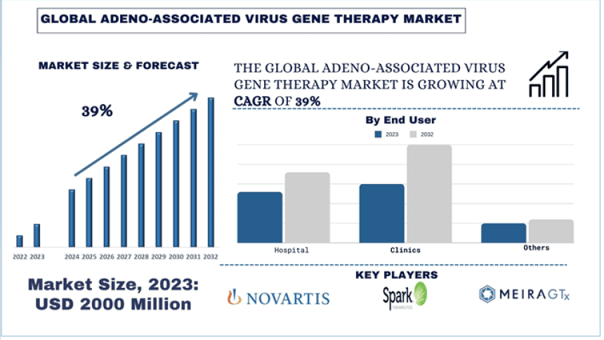 Adeno-Associated Virus Gene Therapy Market