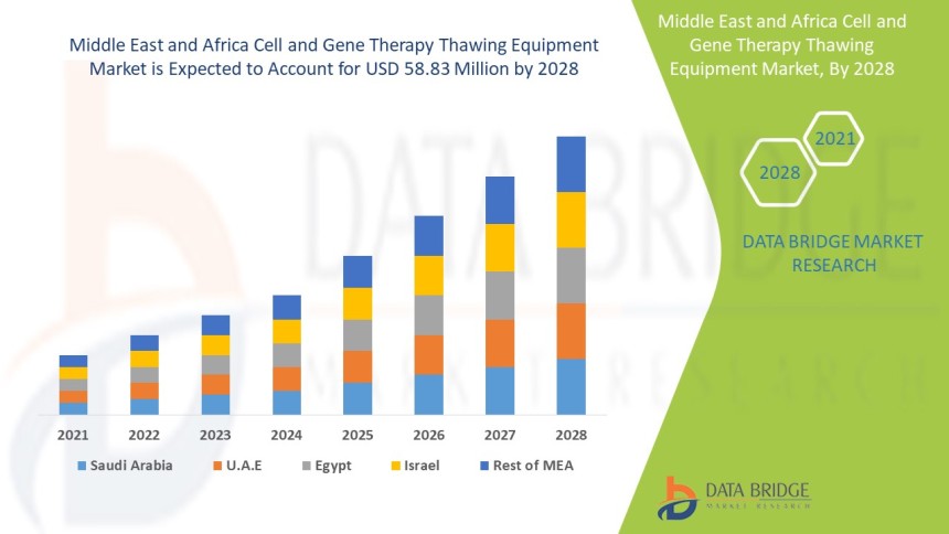 Middle East and Africa Cell and Gene Therapy Thawing Equipment Market