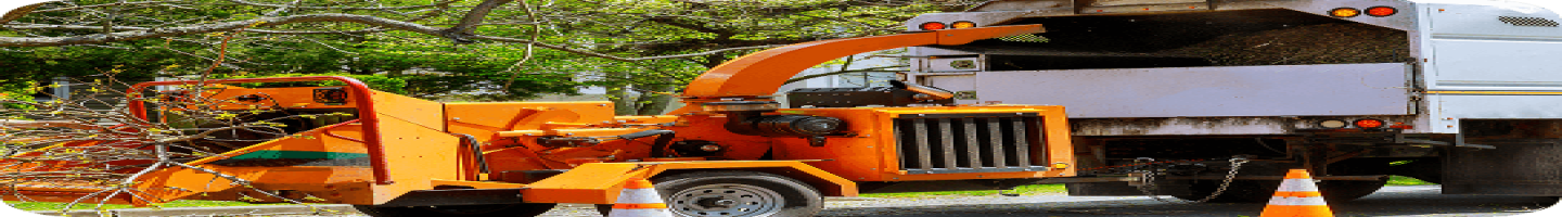 Stanton Tree Service
