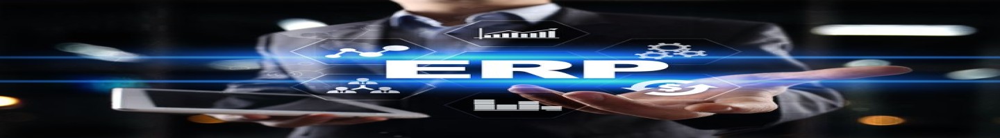 ERP Next Software