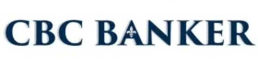 Strategic Financial Leadership for Growing Businesses in Texas