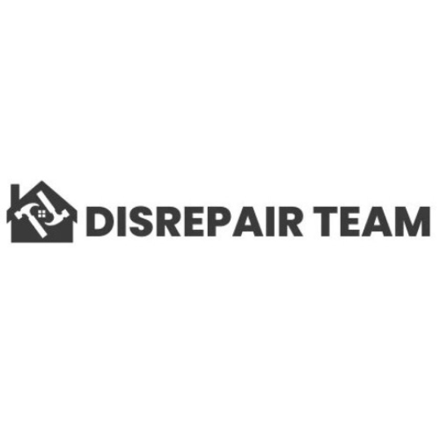 https://disrepairteam.org/