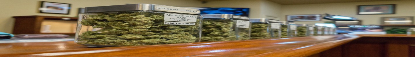 Nettle Health
