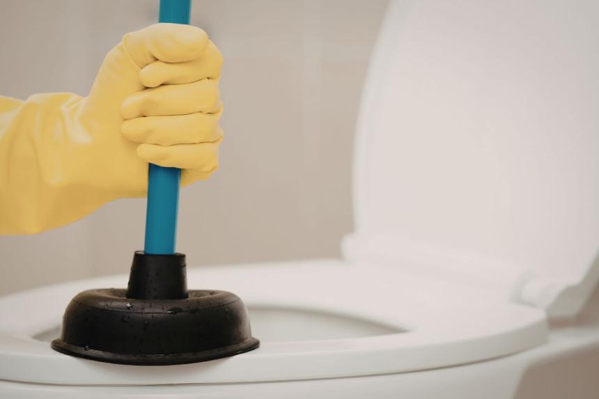 Clog toilet