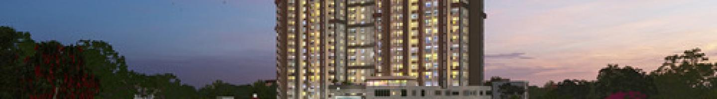 Purva Northern Light