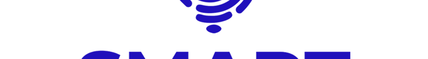 Mr Smart Lighting Company