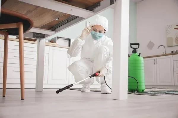 Pest Control Villeneuve