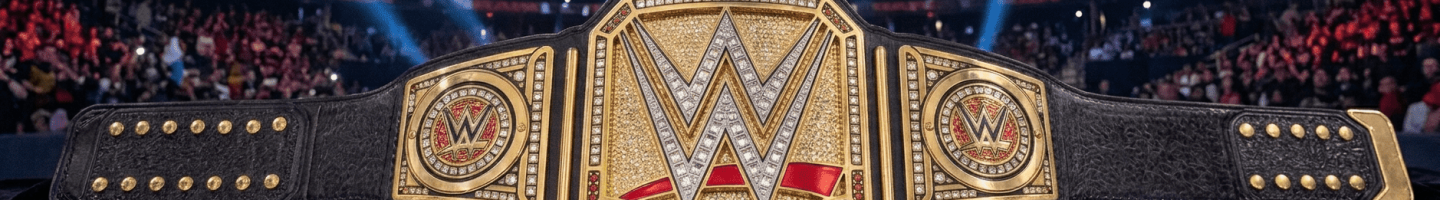 WWE Belt
