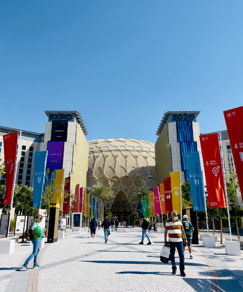 Setting up a company in Abu Dhabi free zones