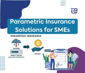 Parametric Insurance