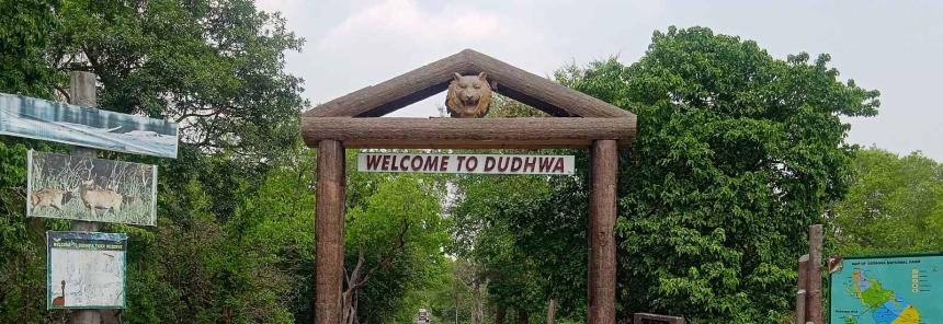 Dudhwa Tiger Reserve