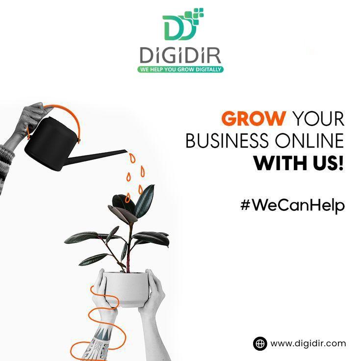 DigiDir – Online Marketing Company USA offering full-service internet marketing services