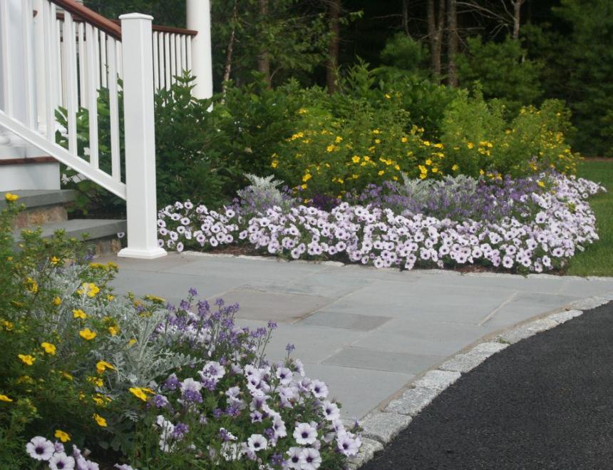 Why Hiring a Lawn Care Company Cape Cod Residents Trust Can Transform Your Outdoor Space