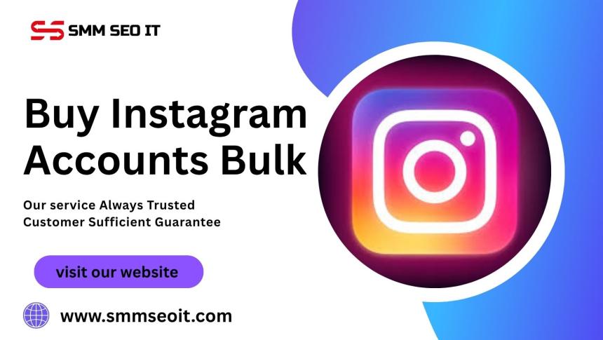 Bulk Instagram Accounts: A Smart Investment for Brands