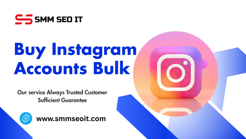 Bulk Instagram Accounts: A Smart Investment for Brands