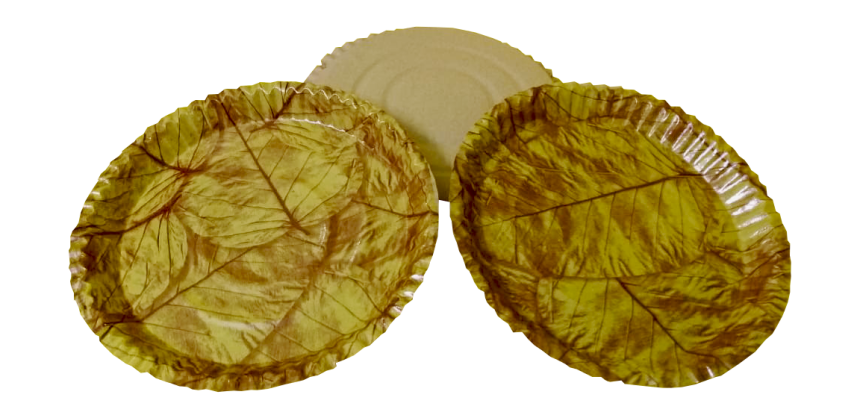 Detailed Report on Paper Plates Manufacturing Plant Setup Cost 2026: Layout and Raw Material