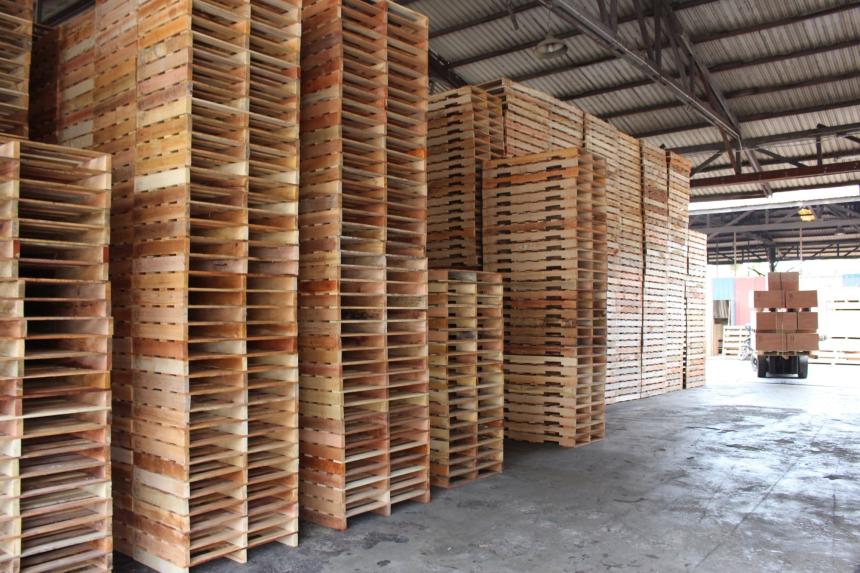 Pallet Manufacturing Plant Cost 2026: Setup Details, Capital Investments, and Business Plan