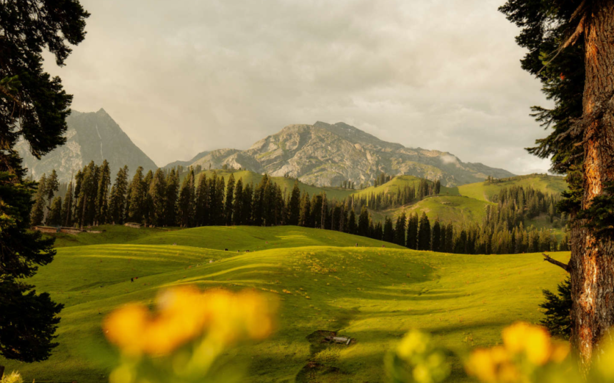 Nafran Valley Trek: Exploring Kashmir's Untouched Himalayan Wilderness