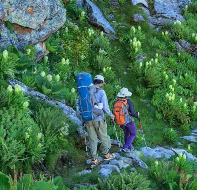 Brammah Valley Trek: Exploring One of the Himalayas' Best-Kept Secrets