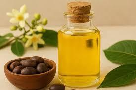 Mahua Oil Processing Plant Report 2026: Comprehensive Business Plan and and Raw Materials Cost