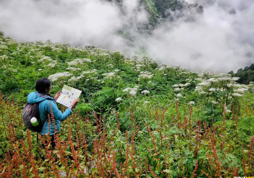 Valley of Flowers Trek: Discover the Blooming Paradise of the Himalayas