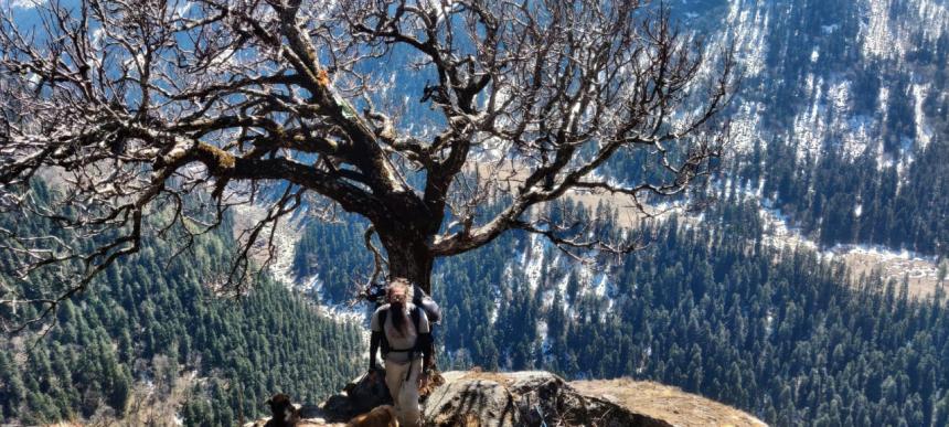 https://thinairexpedition.com/har-ki-dun-trek/