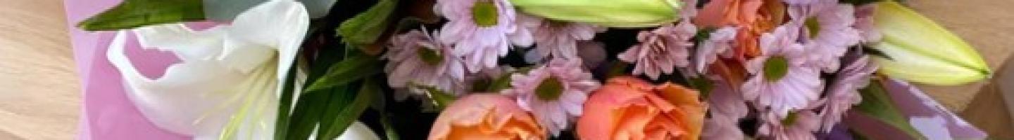 Flowers of Knox