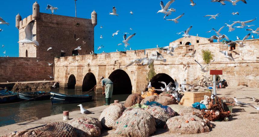 Travel Beyond the Ordinary with a Private Morocco Tour