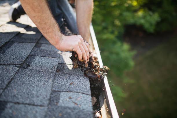 How Heavy North East Rainfall Makes Gutter Maintenance More Critical Than Most of the UK